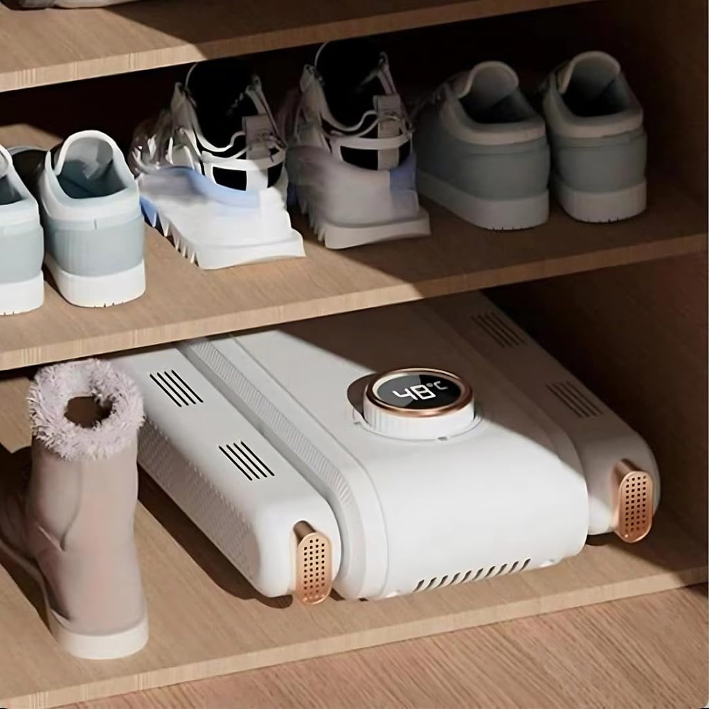 Electric shoe dryer