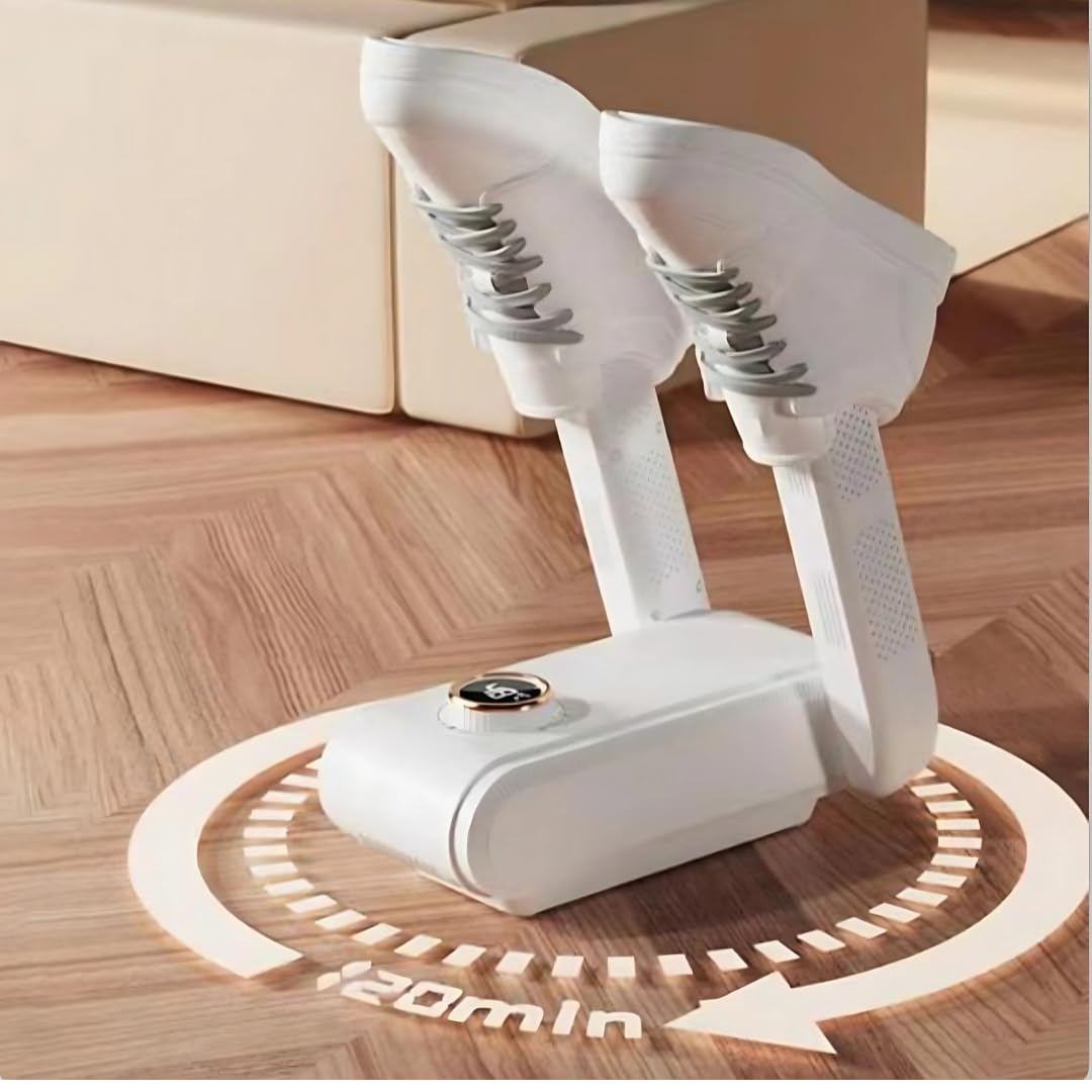 Electric shoe dryer